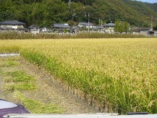 少しづつ