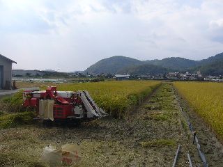 なかなか