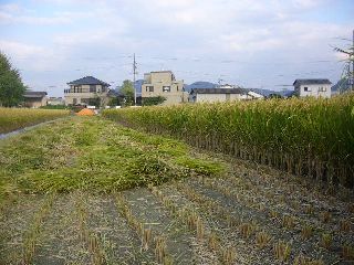 ダメかも
