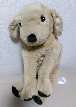 イケアの犬