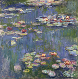monet_nwm.jpg