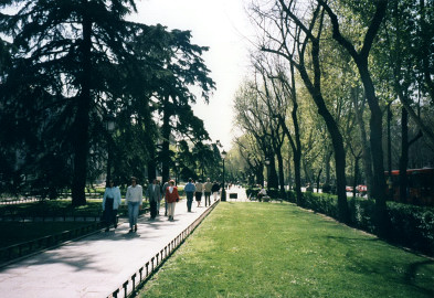 prd001.jpg