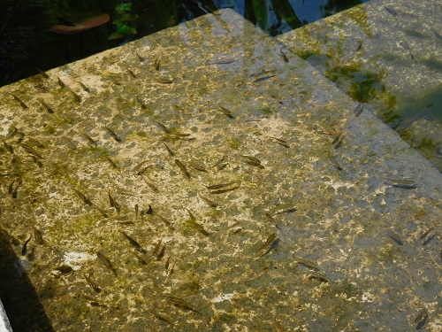 DSCN1607.jpg