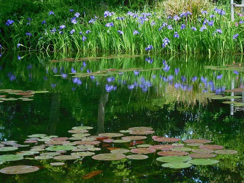 DSCN1609.jpg
