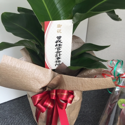 はな3