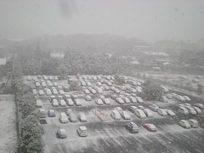 雪.jpg