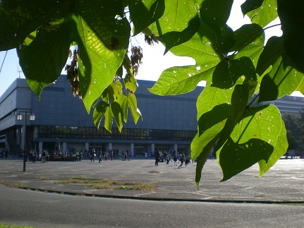 110.JPG