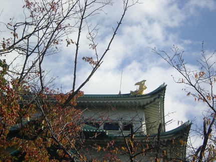 145.JPG