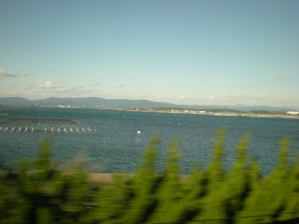 174.JPG