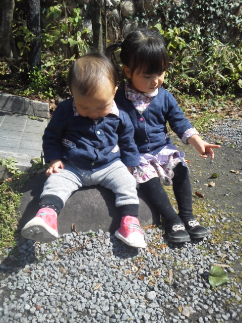 20140315121335.jpg