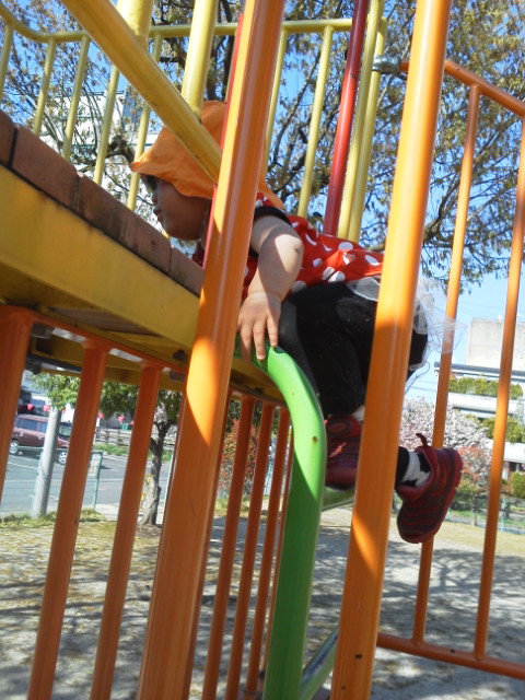 20140414154551.jpg