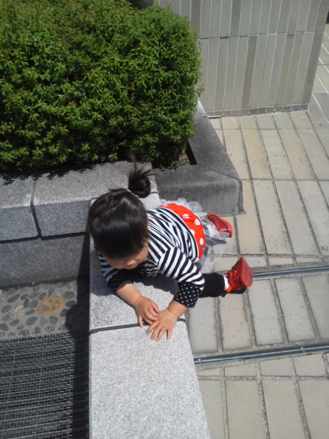 20140414120459.jpg