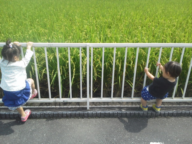 20140912121647.jpg