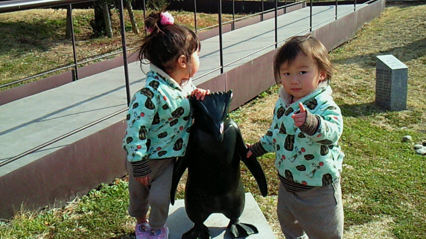 201501241411001.jpg