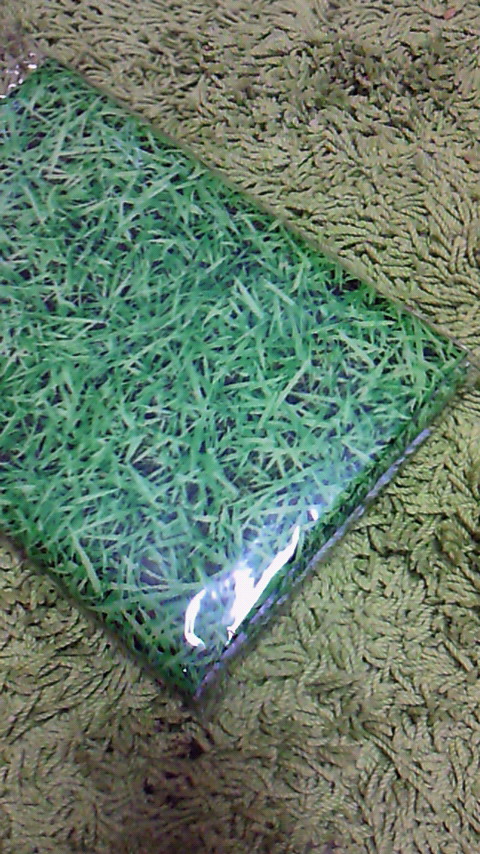 201502231737000.jpg