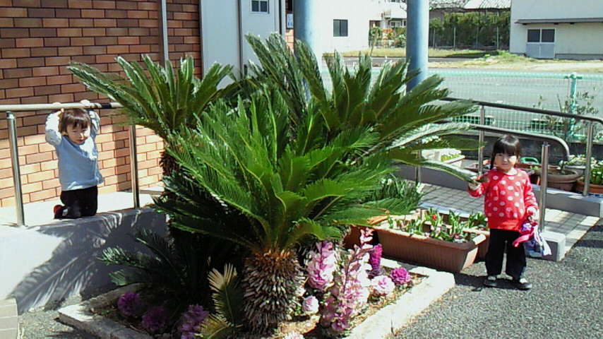 201503171144000.jpg