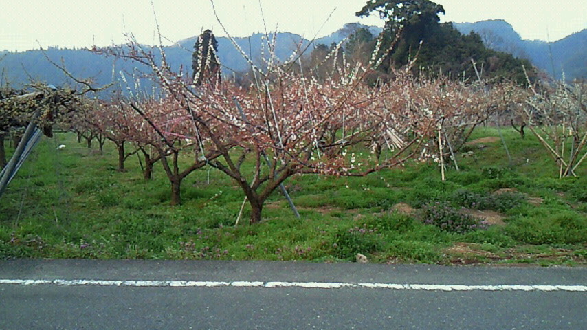 201503221801000.jpg