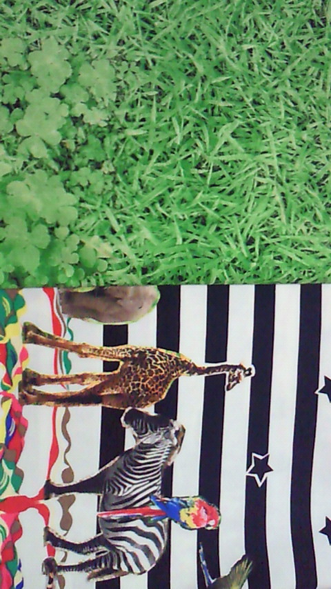 201506021531000.jpg