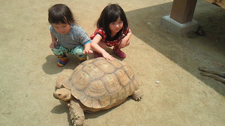 201506211236001.jpg