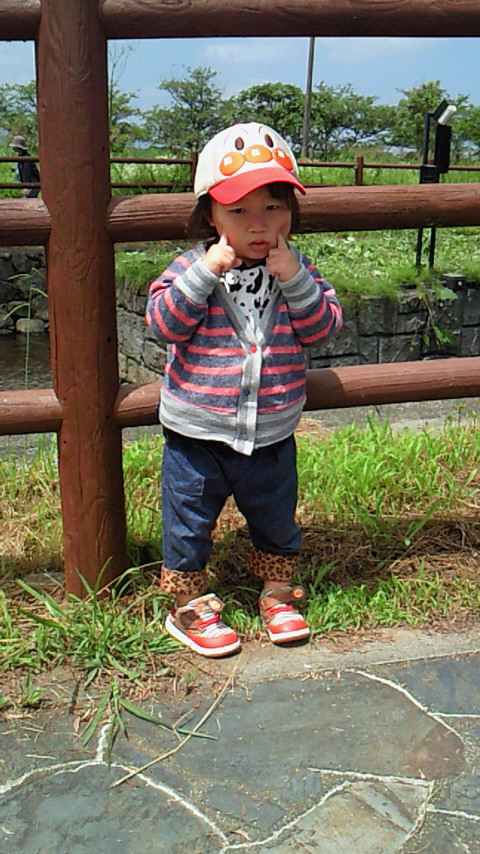 201506281059000.jpg