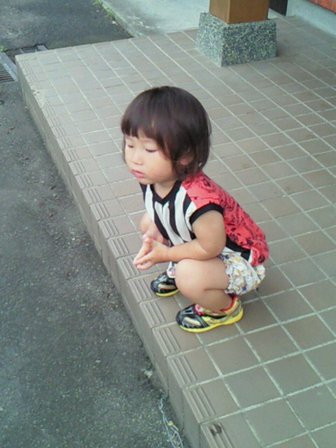 201507280848000.jpg