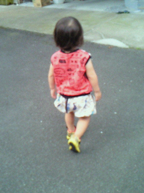 201507280848002.jpg