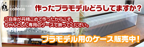 ���쥯����󥱡���