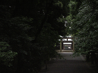 明治神宮
