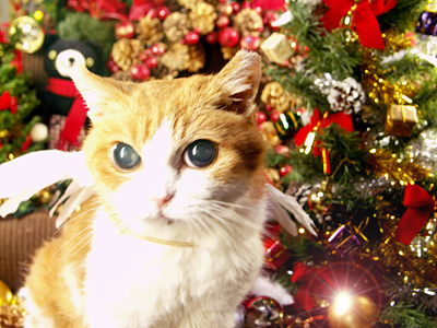 クリスマス