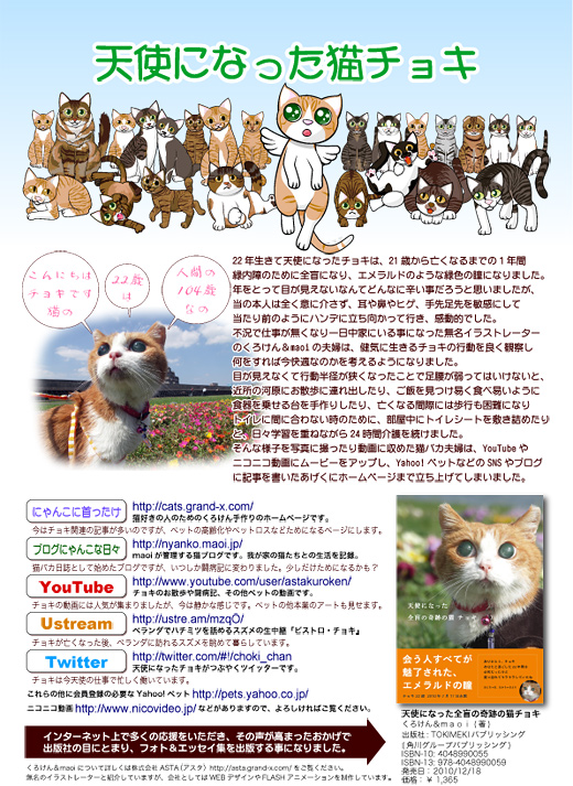 天使になった猫チョキ