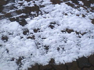 130128_1401~010001.jpg