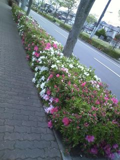 130501_1218~01.jpg