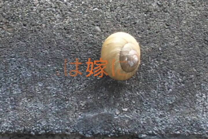 じょうほう2.jpg