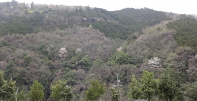 DSC03326.JPG