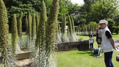 DSC03874.JPG