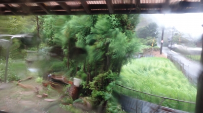 DSC08556.jpg