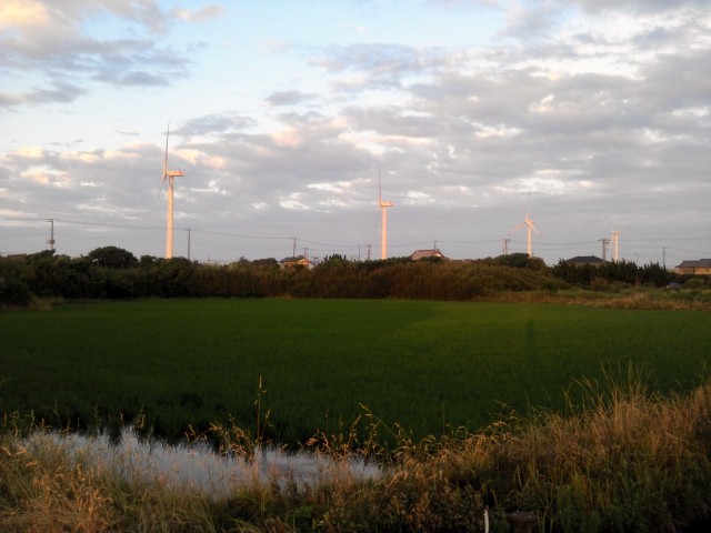NCM_0172.JPG