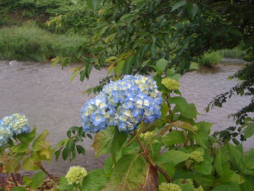 画像 229.jpg