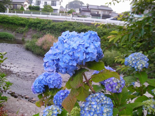 画像 221.jpg