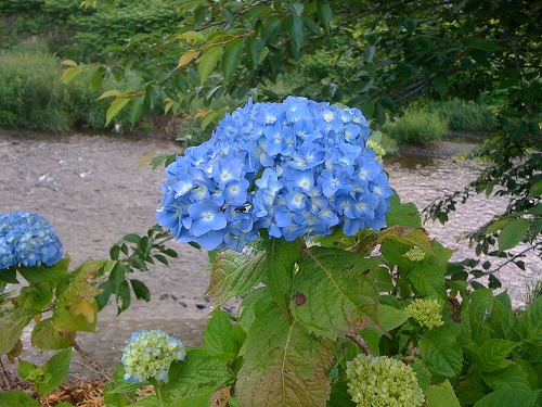 画像 228.jpg