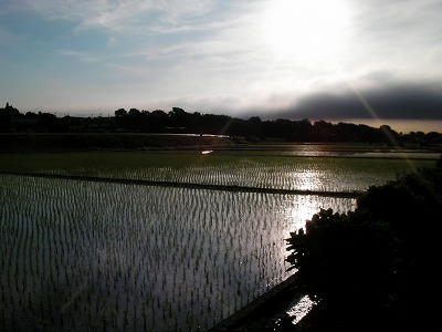 画像 291.jpg