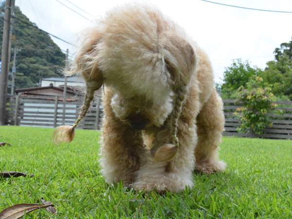 _14_07_20 131151.JPG