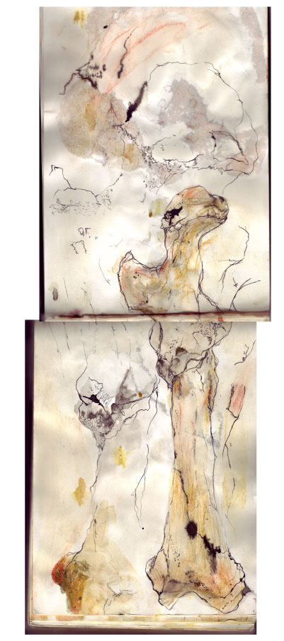 bone