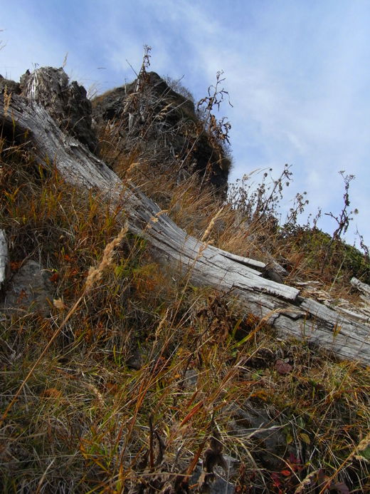 日光白根山