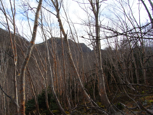 日光白根山