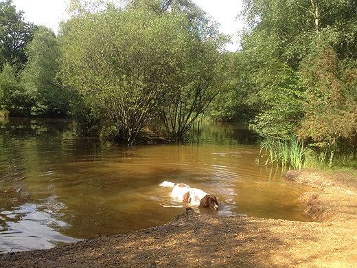 Epping Forest