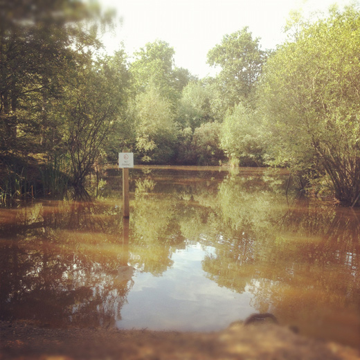 Epping Forest