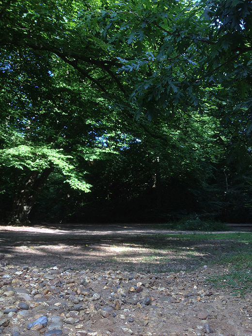 Epping Forest