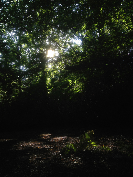 Epping Forest