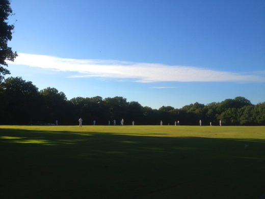Epping Forest